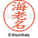 ■シヤチハタ ネーム9 既製 海老名〔品番:XL90444〕【4048990:0】[送料別途見積り][掲外取寄][店頭受取不可]