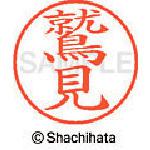 ■シヤチハタ ネーム9 既製 鷲見〔品番:XL91334〕【4050931:0】[送料別途見積り][掲外取寄][店頭受取不可]