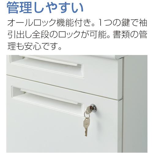 ■IRIS 両袖机 W1400〔品番:SSDH147WW〕【4061053:0】[送料別途見積り][法人・事業所限定][外直送][店頭受取不可] [3]