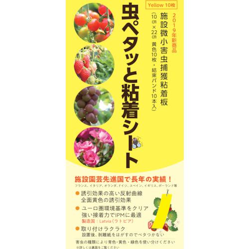 ꡼󥯥 ڥäǴ奷 :6300027852͡4078687:0[ˡ͡Ƚ][ľ][ŹƬԲ]