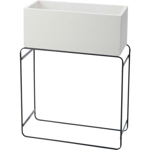 ꡼󥯥 STAND PLANTER MID:6300029364͡4103743:0[ӸѤ][ˡ͡Ƚ][ľ][ŹƬ...