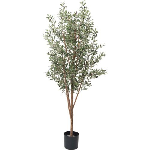 ꡼󥯥 180cm꡼֡:6300029226͡4103748:0[ӸѤ][ˡ͡Ƚ][ľ][ŹƬԲ]