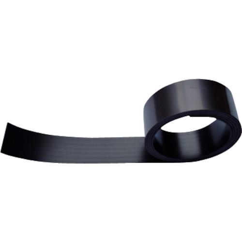  ޥͥåȥ1.0251M:MAG1251MN͡4105426:0[ӸѤ][ǳ][ŹƬԲ]