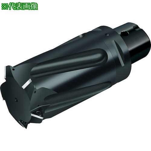 ■Walter チップ式ねじ切りカッター〔品番:T271360C5414〕【4109535:0】[送料別途見積り][掲外取寄][店頭受取不可]