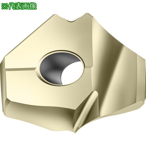 ■ワルター ポイントドリルチップ WPP25〔品番:P6006D2222R〕【4109841:0】[送料別途見積り][掲外取寄][店頭受取不可]