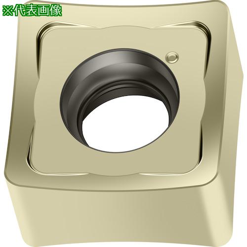 ■Walter ミーリング加工用 正方形ネガチップ WSP45G《10個入》〔品番:SNMX120512F57〕【4113010×10:0】..