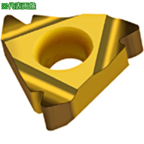 ■Walter めねじ旋削チップ 完全プロファイルウィットワース NTS WXM20《10個入》〔品番:NTSIR16014W〕【4113940×10:0】[送料別途見積り][掲外取寄][店頭受取不可]