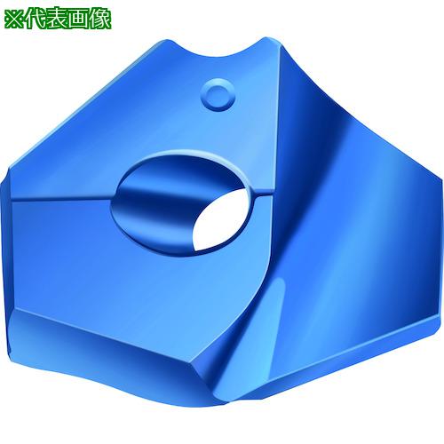 ■Walter ポイントドリルチップ WPP45C〔品番:P6001D2024R〕【4120664:0】[送料別途見積り][掲外取寄][店頭受取不可]
