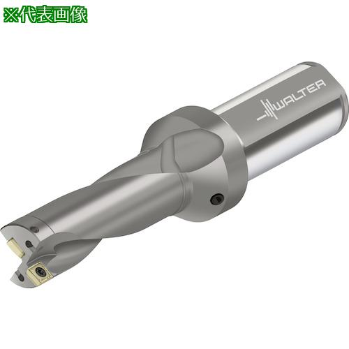 ■Walter チップ交換式ドリル D4120〔品番:D4120.0315.47F19P41〕【4123659:0】[送料別途見積り][掲外取寄][店頭受取不可]