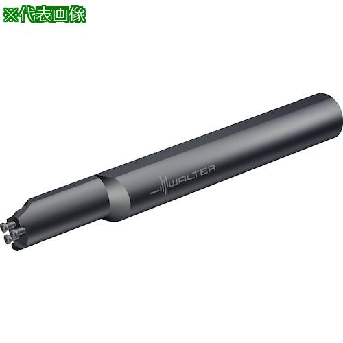 ■Walter Boring bar modular MSS...I...2.5〔品番:MSSI32L9025DN〕【4126591:0】[送料別途見積り][掲外取寄][店頭受取不可]