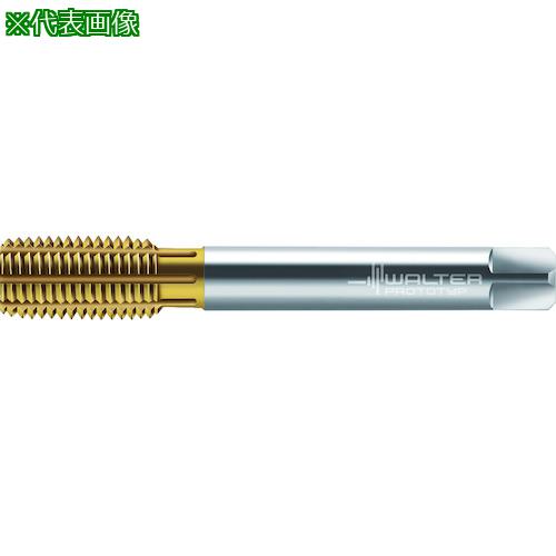 ■Prototyp HSS-E-PM- 転造タップ〔品番:TC420M14X1.5L6WW60AD〕【4180974:0】[送料別途見積り][掲外取寄][店頭受取不可]