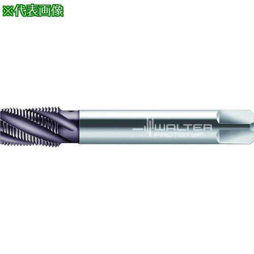 ■Prototyp HSS-E マシンタップ〔品番:2546706NPT12〕【4184160:0】[送料別途見積り][掲外取寄][店頭受取不可]