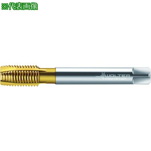 ■Prototyp HSS-E マシンタップ〔品番:TC216.UNF916L0WY80AA〕【4187802:0】[送料別途見積り][掲外取寄][店頭受取不可]