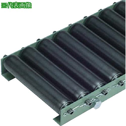 ■タイヨー TR-N4235L型 ローラー幅200W×P150×機長2000L(Lフレーム)〔品番:N4235L2001502000〕【4199713:0】[送料別途見積り][法人・事業所限定][外直送][店頭受取不可]