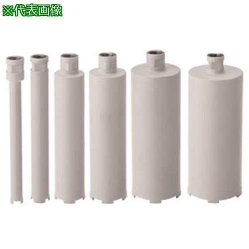 ■Hakken 乾式コアビット ドライワン Cロッド Φ80×260L C〔品番:DRY1C80260C〕【4209260:0】[送料別途見積り][法人・事業所限定][外直送][店頭受取不可]