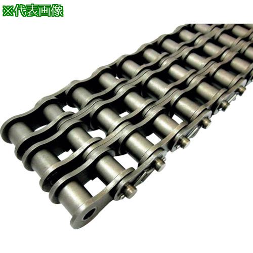 KANA 120-3CP  40L(1.5M):KANA1203CPT͡4218000:0[ӸѤ][ǳ][ŹƬԲ]