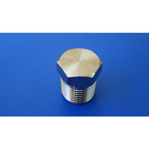 ■フジトク 高圧用ねじ込み継手PT6P/六角プラグ〔品番:PT6P15ASU4〕【4249374:0】[送料別途見積り][掲外..