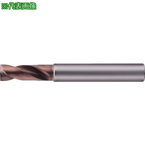 MOLDINO Ķťƥ󥰥ɥ ܡ顼ZPB1000-TH:ZPB1000TH͡4249640:0[ŹƬԲ]