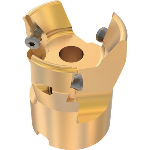 ■セコ フライス 金型用 カッター〔品番:R220.970050V22.3A〕【4282113:0】[店頭受取不可]