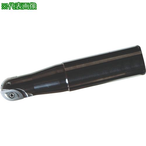 MOLDINO ե ܡ륨ɥߥ BCF3028S32S:BCF3028S32S͡4283490:0[ŹƬԲ]
