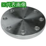 ■inoc ブラインドフランジ〔品番:304BF20K32A〕【4284693:0】[送料別途見積り][掲外取寄][店頭受取不可]