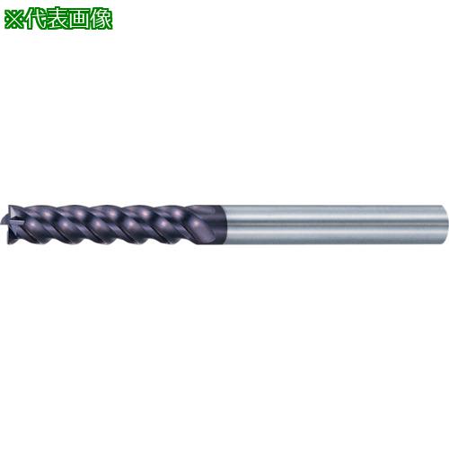 MOLDINO Ķťɥߥ ݥåѥߥ 󥰿 EPPL4160:EPPL4160͡4289803:0[ŹƬԲ]