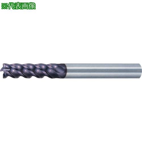 MOLDINO Ķťɥߥ ݥåѥߥ ߥǥ EPPM4200:EPPM4200͡4290143:0[ŹƬԲ]