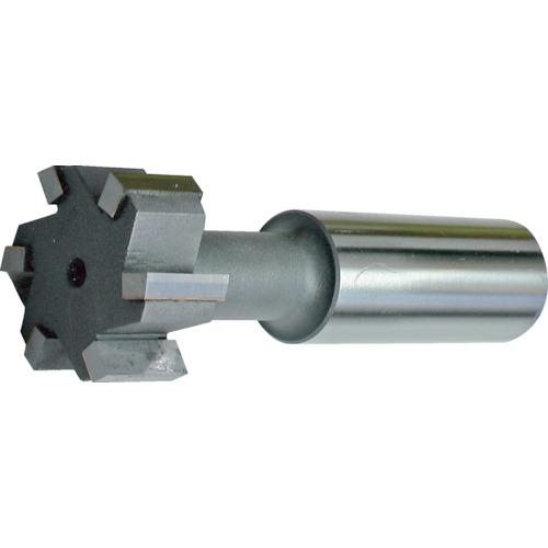 ■アサヒ工具製作所 Tスロットカッター〔品番:TSL1604K〕【4339305:0】[法人・事業所限定][直送元][店頭受取不可]