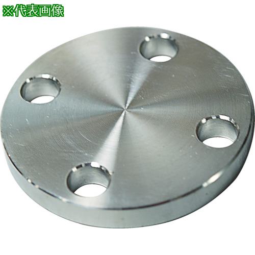FLOBAL SUS304 10K Ļߥե 14100571:SUS10KBLFF20A͡4445830:0[ŹƬԲ...