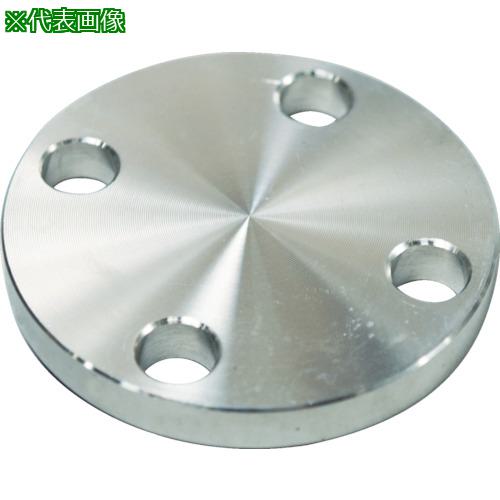 FLOBAL SUS304 5K Ļߥե 14100555:SUS5KBLFF25A͡4446020:0[ŹƬԲ]