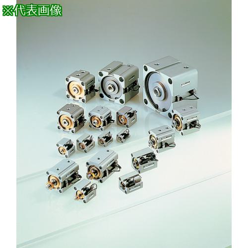 ■TAIYO 薄形空気圧シリンダ〔品番:10S1RLA125N80W2〕【4448754:0】[送料別途見積り][掲外取寄][店頭受取不可]