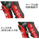 hcvalor-eshop:10656366のサンプル画像3