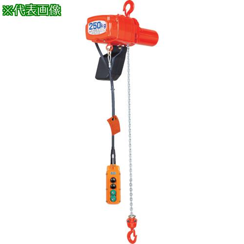 ■象印 2速選択型電気チェーンブロック 定格荷重0.16t 標準揚程3m 単相100V (αSW-016 3m)〔品番:ASWK1630〕【4607406:0】[送料別途見積り][法人・事業所限定][直送][店頭受取不可]