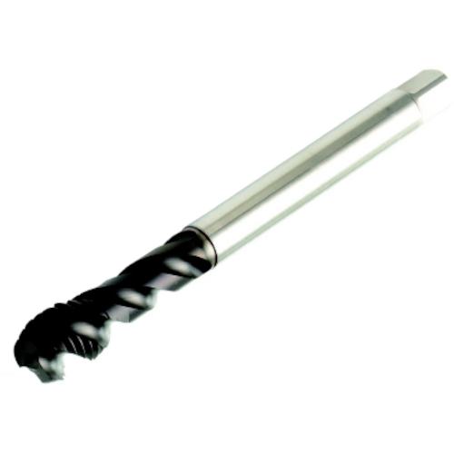 ■SANDVIK コロタップ300 スパイラルタップ(780) C110〔品番:T300MM100AE1024〕【46...