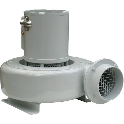 ■淀川電機 電動送風機 逆吸込型 Zシリーズ 単相100V (0.125kW)〔品番:Z2.5〕【4675185:0】[送料別途見..