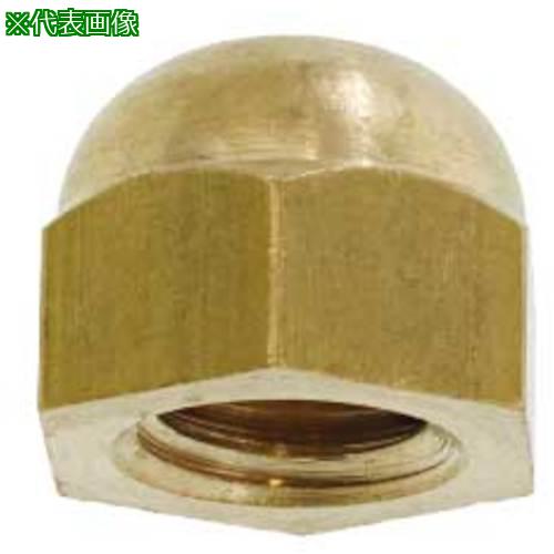 SUNCO BSեN(ɥߥ쥹 M12 (100):N00100C00120000000͡4970120:0[ӸѤ][ǳ][ŹƬԲ]