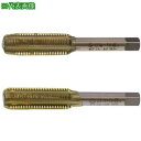 ■SUNCO Eサート(2本組タップ (中・上) 3/4-10UNC (1本入)〔品番:N000TV0C8060000000〕【4971102:0】[送料別途見...
