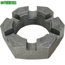 ■SUNCO 溝付きナット(低形(1種 細目 M20ホソメ2.0 (70本入)〔品番:N0000C150200000000〕【5020217:0】[送料別途見積...
