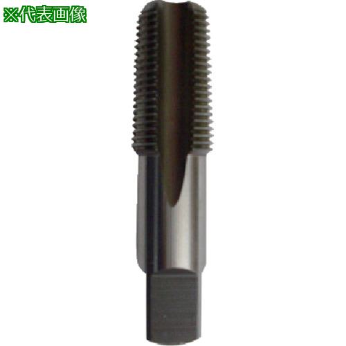 ■ISF HSS 管用平行タップ 3/4PS〔品番:ISHPS034〕【5036623:0】[送料別途見積り][掲外取寄][店頭受取不可]