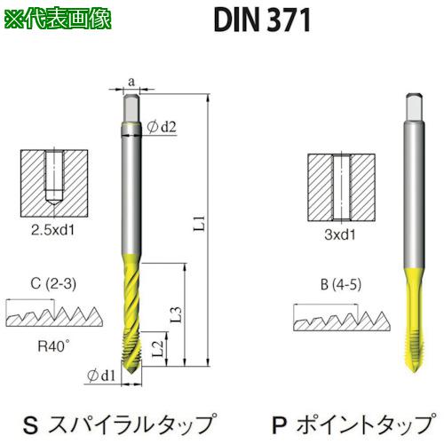 ■NOGA DIN-371 一般用ポイントタップ12-28UNF XT5《10本入》〔品番:PD1B1228UNF2B5X〕【5049651×10:0】[送料別途見積り][掲外取寄][店頭受取不可]