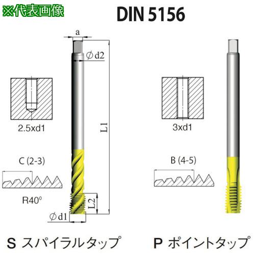 NOGA DIN-5156 ѥѥ륿åG1-11 XT53ա:SD5156CG15XT͡50513193:0[ӸѤ][ǳ][ŹƬԲ]