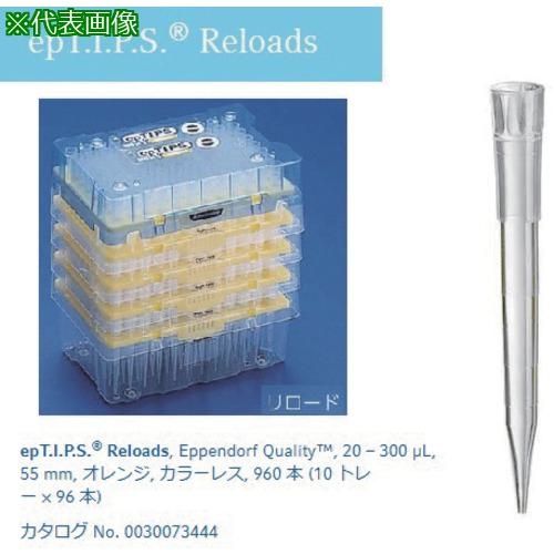 AS epåץ0030073452:2487514͡5061065:0[ӸѤ][ǳ][ŹƬԲ]