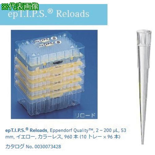 AS epåץ0030073436:2487513͡5073746:0[ӸѤ][ǳ][ŹƬԲ]