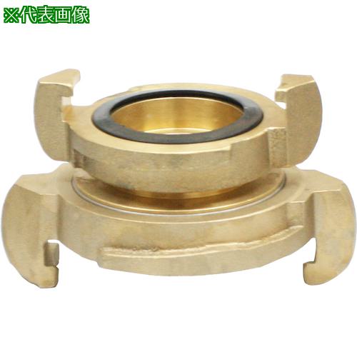 IWA ޲ Ƽ 缰ߡ۷¡缰 :03NANA6550B͡5113020:0[ӸѤ][ǳ][ŹƬԲ]