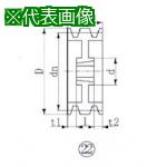 ■EVN ブッシングプーリー SPB 300mm 溝数6〔品番:SPB3006〕【5144809:0】[送料別途見積り][掲外取寄][店頭受取不可]