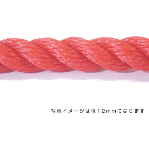 ■グリーンクロス ポリエチレンロープ 赤 6mm 100m巻〔品番:6300040541〕【5300150:0】[送料別途見積り][法人・事業所限定][外直送][店頭受取不可]