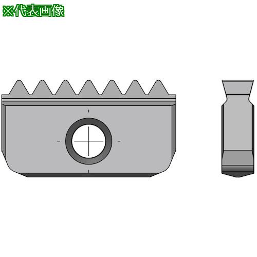 ■NOGA ミルスレッドNPSM内径ねじ切りチップ40mmx8山 MT7《2個入》〔品番:40I8NPSM〕【5356837×2:0】[送料別途見積り][掲外取寄][店頭受取不可]