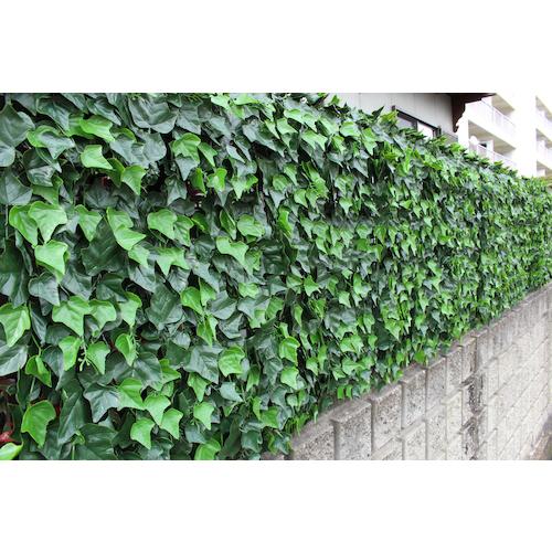 ■TASSCOM リアルグリーンフェンス アイビー〔品番:TAN797〕【5366951:0】[法人・事業所限定][外直送元][店頭受取不可]