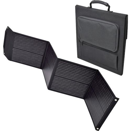 ■NICHIDO ピンバン用ソーラーパネル 100W〔品番:LPESO100〕【5370697:0】[店頭受取不可]