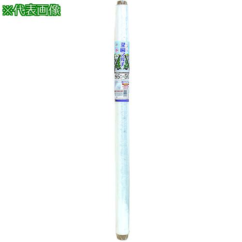 MATAI ニコニコ菜園マルチ 透明 135cm 50m《12本入》〔品番:DDHC08524〕【5487139 12:0】[送料別途見積り][法人・事業所限定][外直送][店頭受取不可]